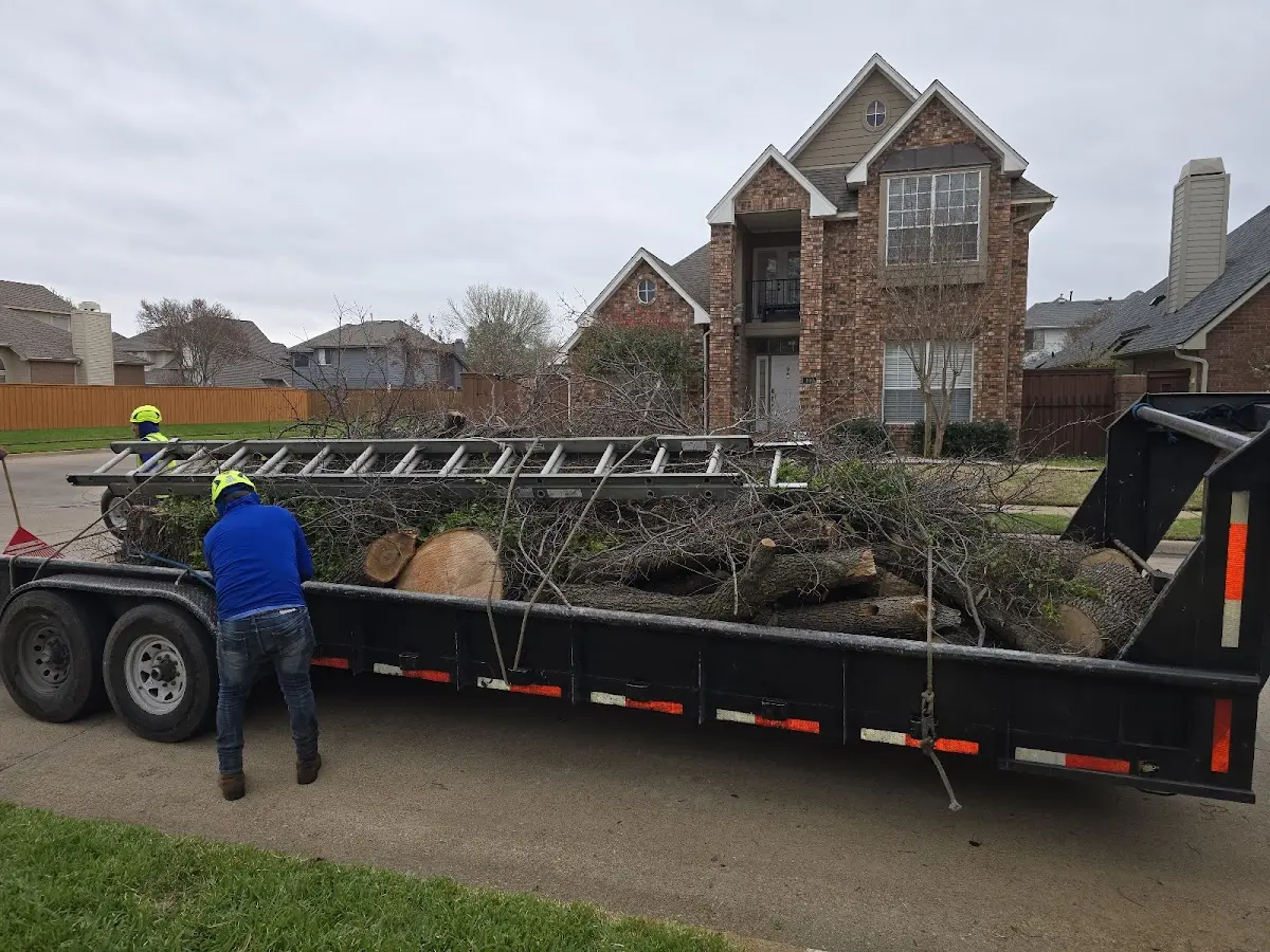 Expert Tree Fertilization with proper safety equipment in West Lebanon